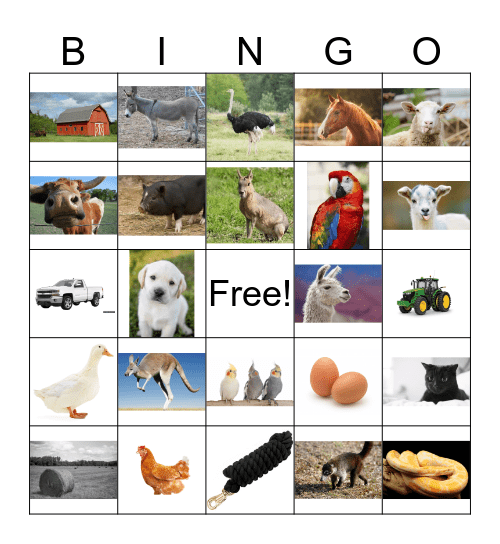 Farm Bingo Card