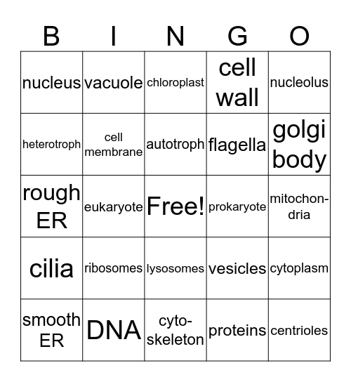 Organelles Bingo Card