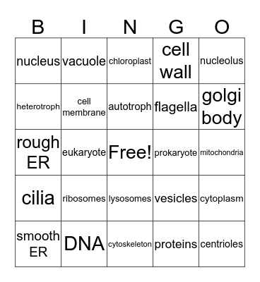 Organelles Bingo Card