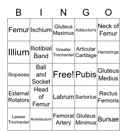 Hip Anatomy Bingo Card