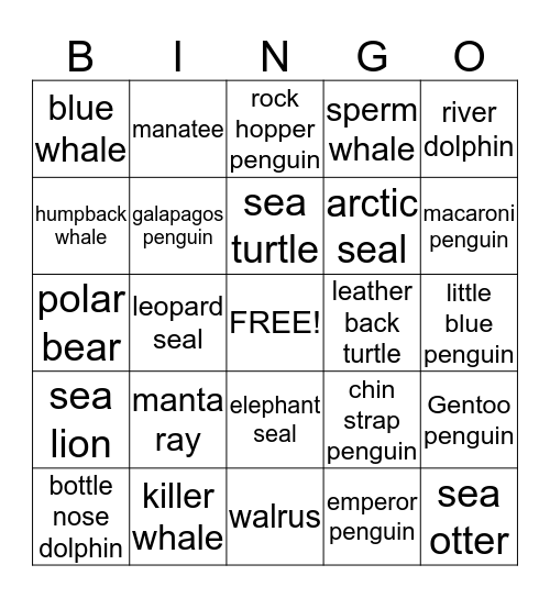 sea mammals and turtles  Bingo Card