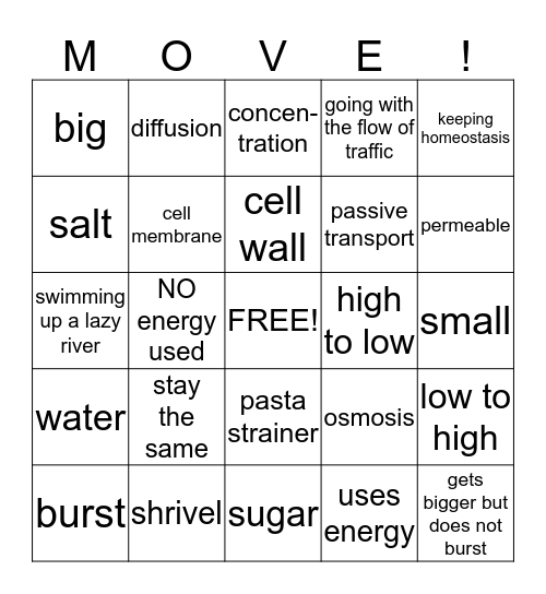 Active and Passive Transport Review Bingo Card