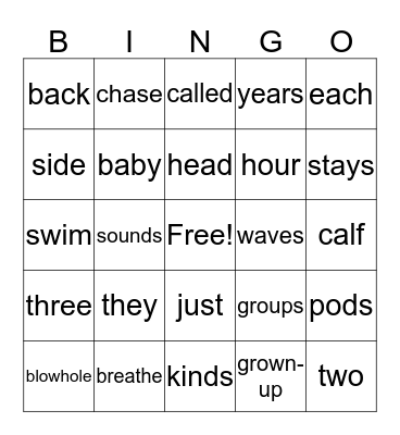 Dolphins Bingo Card