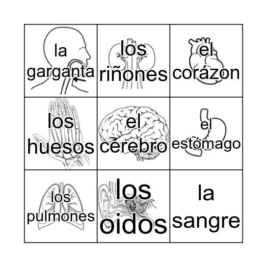 LAS PARTES DEL CUERPO Bingo Card