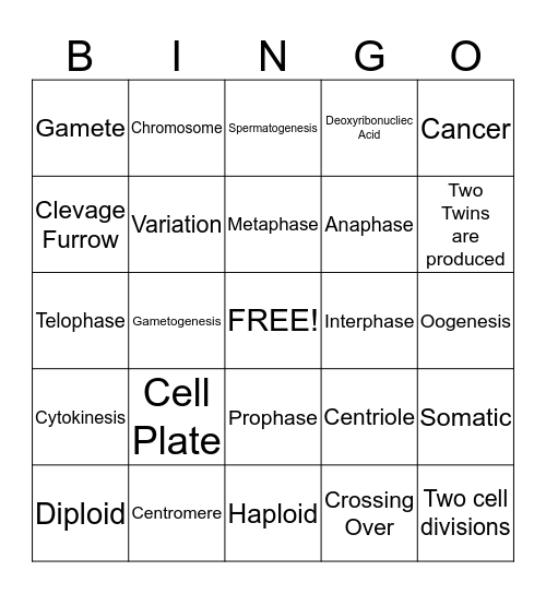 Mitosis & Meiosis Bingo Card