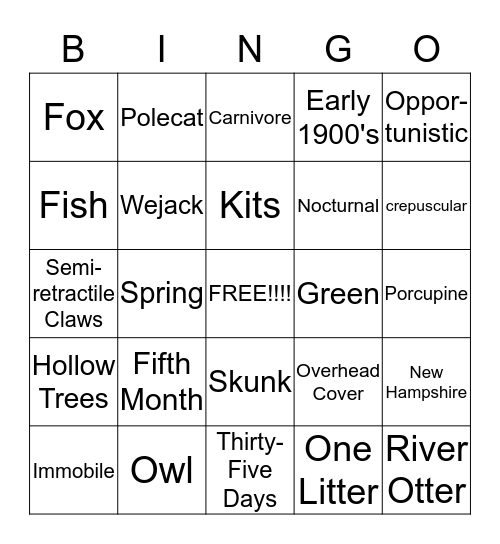 Fisher Bingo Card