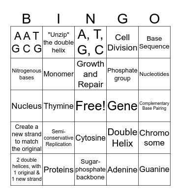 DNA Replication & Protein Synthesis Bingo Card