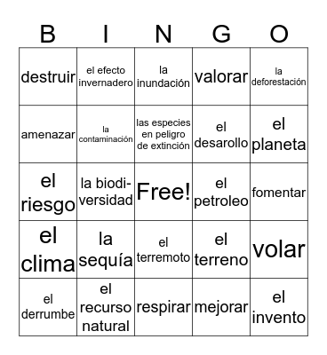 Somos el medio ambiente Bingo Card