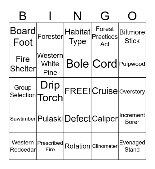 Forest Management Bingo Card