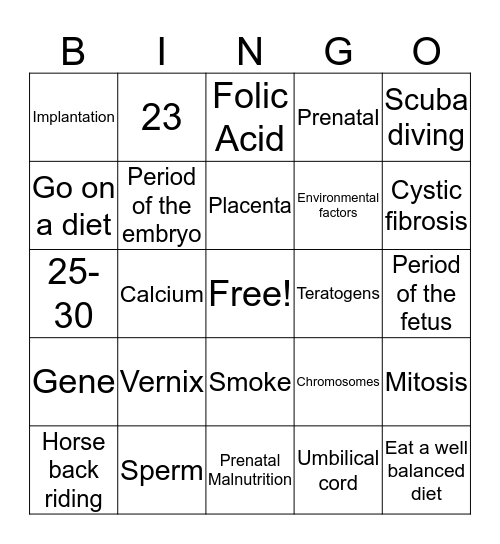 Conception  Bingo Card
