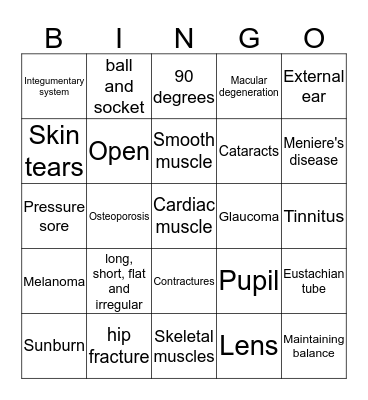 Body System Bingo!!! Bingo Card