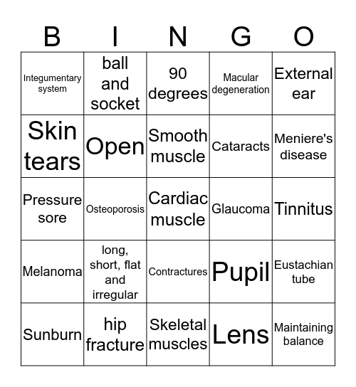 Body System Bingo!!! Bingo Card