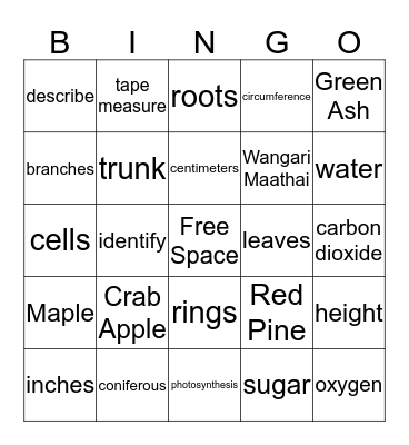 Science of Trees Bingo Card
