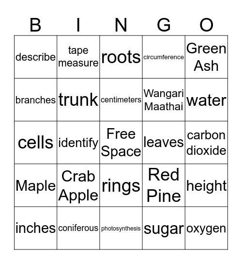Science of Trees Bingo Card