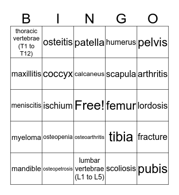 Musculoskeletal System Bingo Card