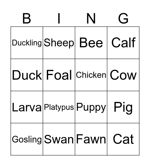 Animals! Bingo Card