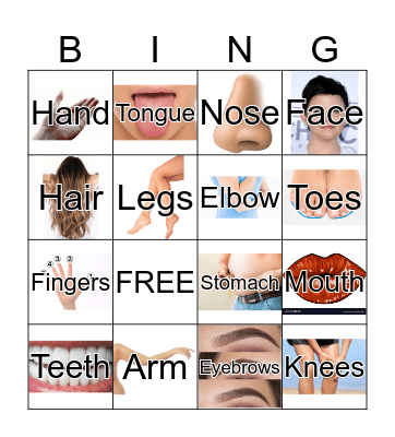 body parts Bingo Card