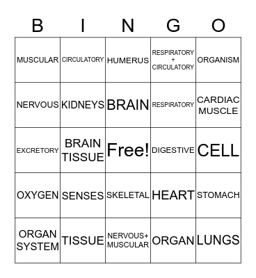 Bodies and Systems Bingo Card
