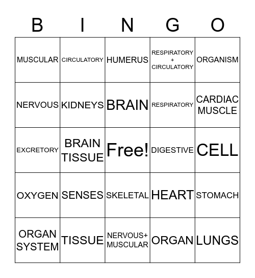 Bodies and Systems Bingo Card