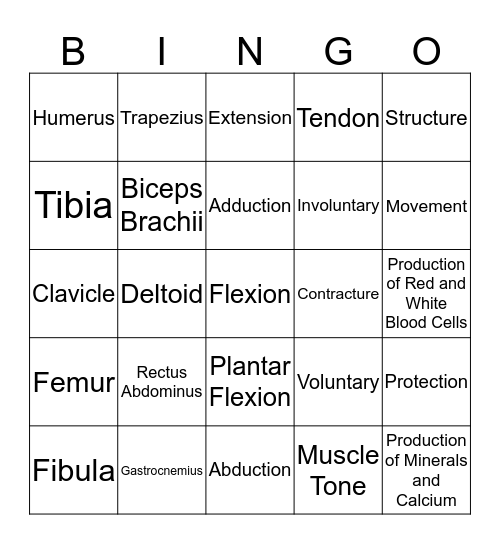 Musculoskeletal System Bingo Card