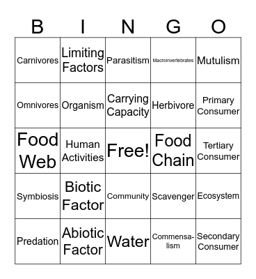 Learning Set 3 Review Bingo Card