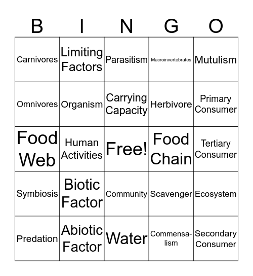 Learning Set 3 Review Bingo Card