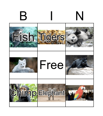 animals  Bingo Card