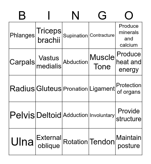 Musculoskeletal Bingo Card