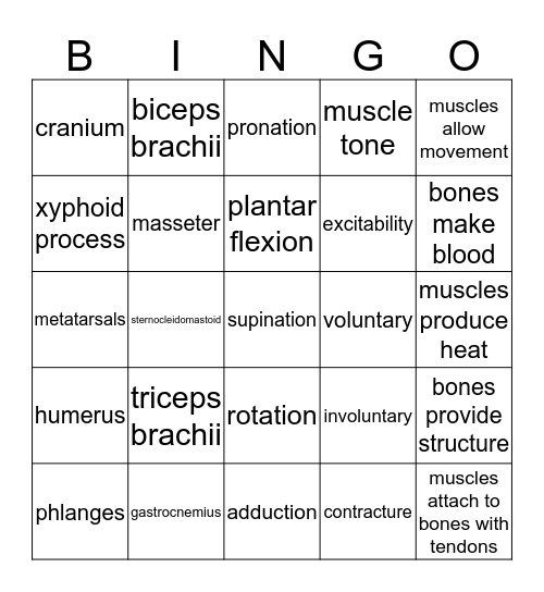 Musculoskeletal Bingo Card