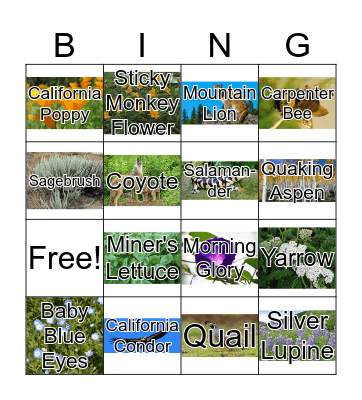 California Native Plants & Animals Bingo Card