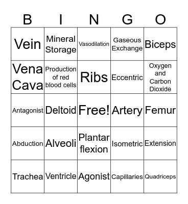 GCSE PE Bingo Card