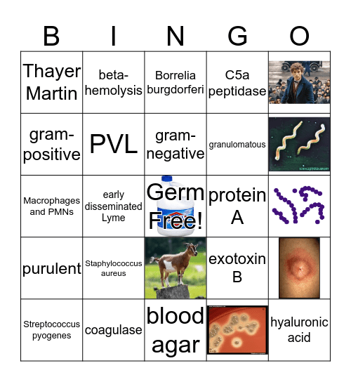 Fantastic Beastly Bugs Bingo Review Bingo Card