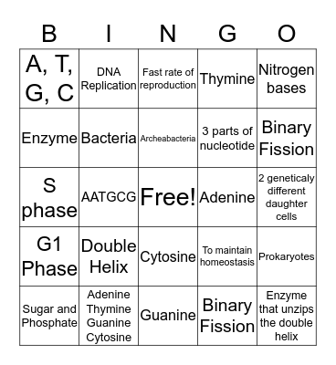 DNA Replication Bingo Card