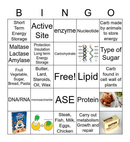 Biomolecules Bingo Card