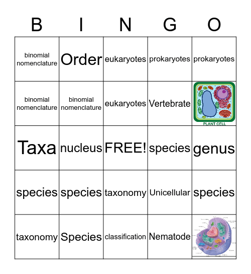 Classification Bingo Card