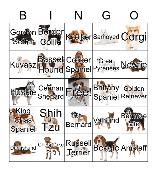 Bennie Bingo Card