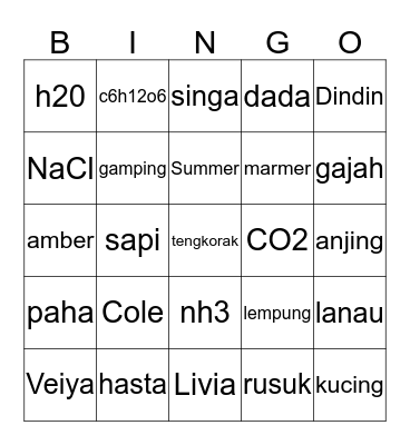 PUNYA COLE Bingo Card