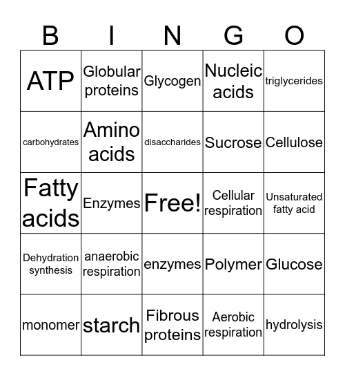 Unit 2 Biochemistry Bingo Card