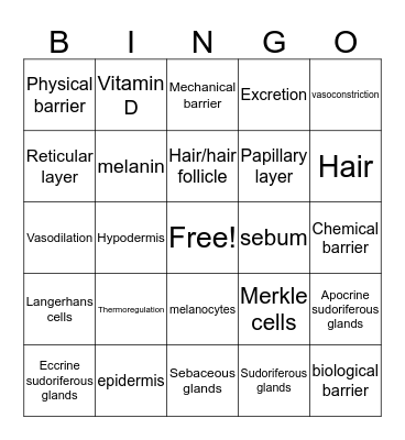 Unit 4 Integumentary System Bingo Card