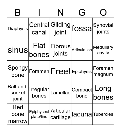 Unit 5 Skeletal System Bingo Card