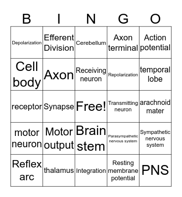 Units 7 & 8 Nervous System Bingo Card