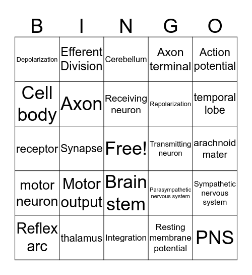 Units 7 & 8 Nervous System Bingo Card
