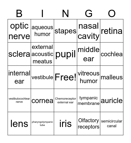 Unit 9 Special Senses Bingo Card