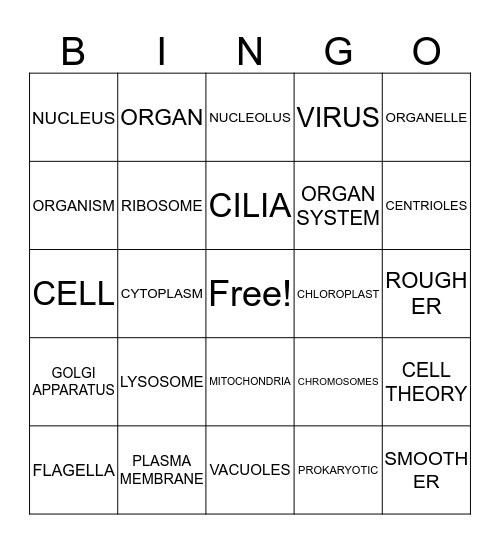 Cell Bingo 3 Bingo Card