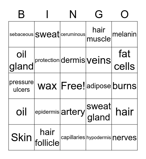 integumentary system Bingo Card