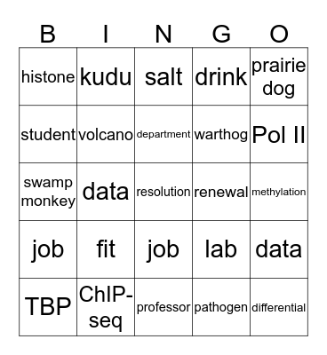 BMG retreat Bingo Card