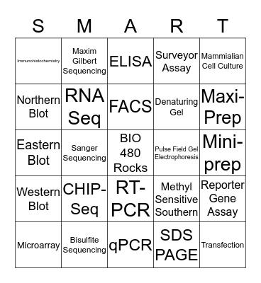 BIO 480 BINGO Card