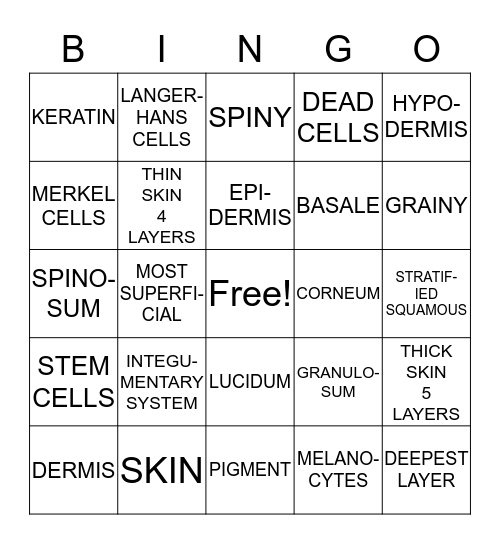 LAYERS OF THE EPIDERMIS Bingo Card