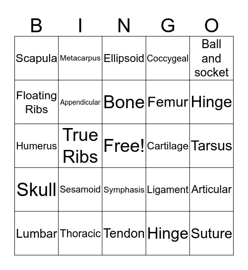 Vet Science  Bingo Card