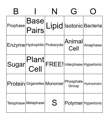 Semester Review Bingo Card